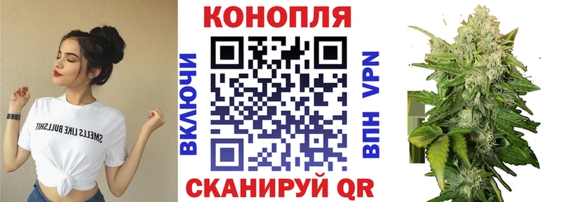 Как найти наркотики Новокубанск МАРИХУАНА  Псилоцибиновые грибы  Гашиш  MEGA зеркало  Амфетамин  КОКАИН 