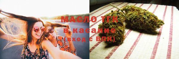хмурый Бородино