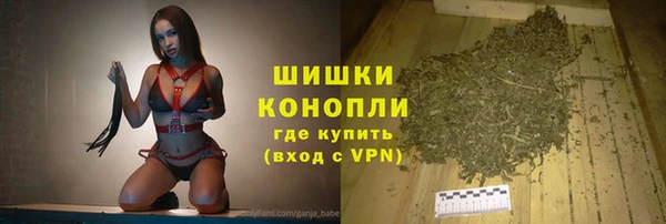 хмурый Бородино