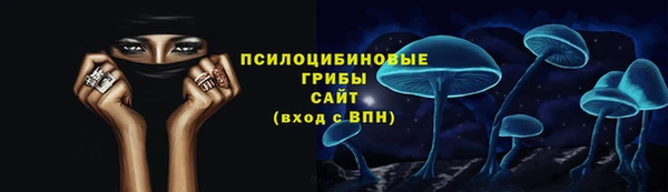хмурый Бородино