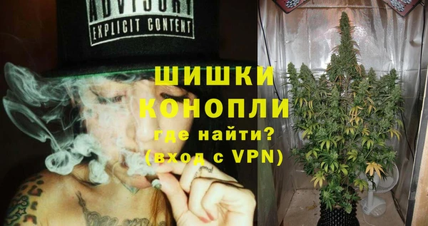 хмурый Бородино