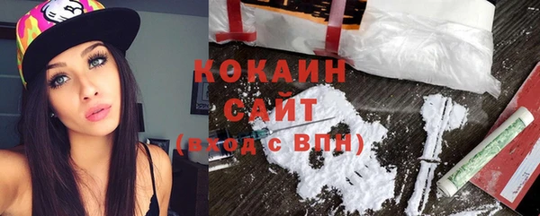 хмурый Бородино