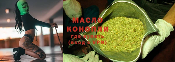 хмурый Бородино