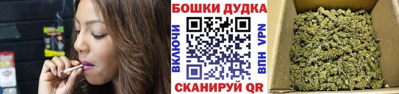 KRAKEN   Новокубанск  МАРИХУАНА VHQ 